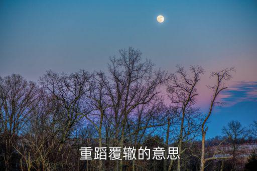  重蹈覆轍的意思