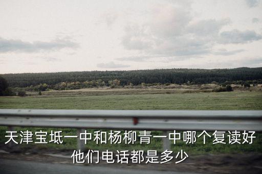 天津市復讀生聯系電話，天津寶坻一中和楊柳青一中哪個復讀好他們電話都是多少