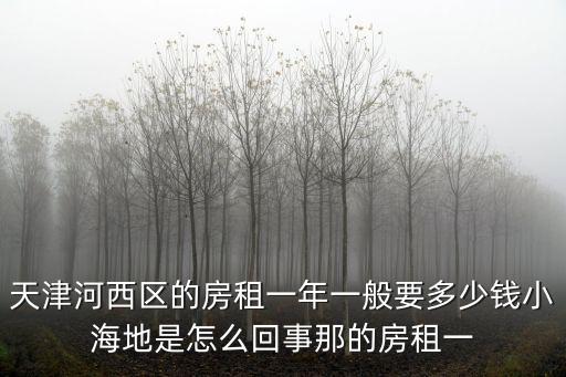 天津河西區的房租一年一般要多少錢小海地是怎么回事那的房租一