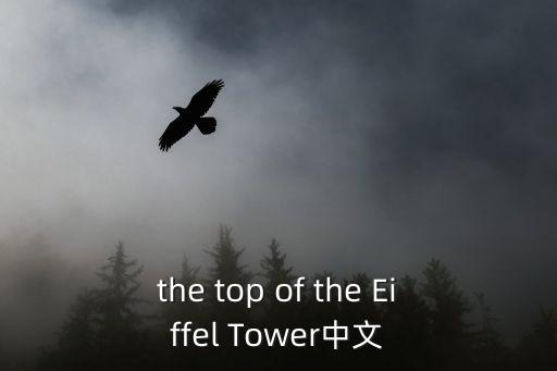 the top of the Eiffel Tower中文