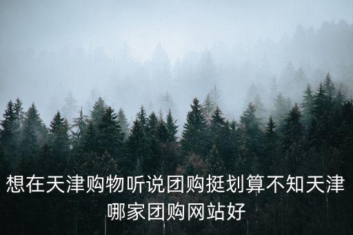 想在天津購物聽說團購挺劃算不知天津哪家團購網站好