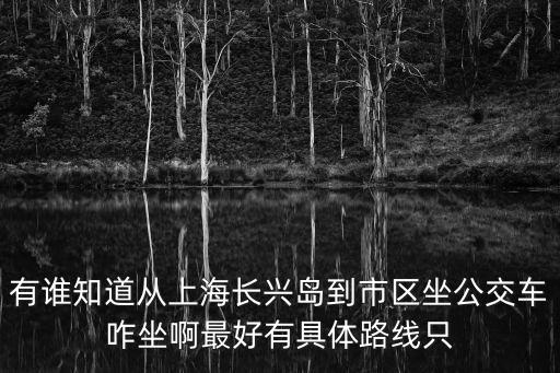 有誰知道從上海長興島到市區(qū)坐公交車咋坐啊最好有具體路線只