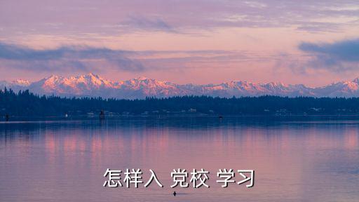 入黨校學(xué)習(xí)申請(qǐng)書,入黨申請(qǐng)書寫什么?