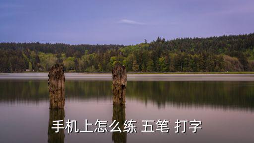 手機上怎么練 五筆 打字