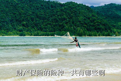 財產保險的險種一共有哪些啊