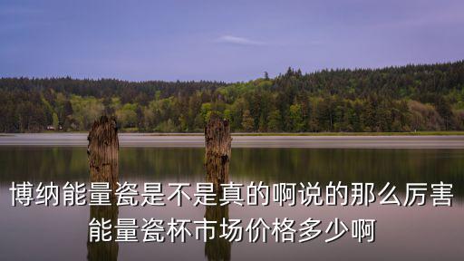博納能量瓷是不是真的啊說的那么厲害能量瓷杯市場價格多少啊