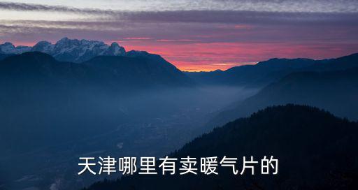天津市國盛金屬制品有限公司，天津武清開發(fā)區(qū)都哪些企業(yè)是日企