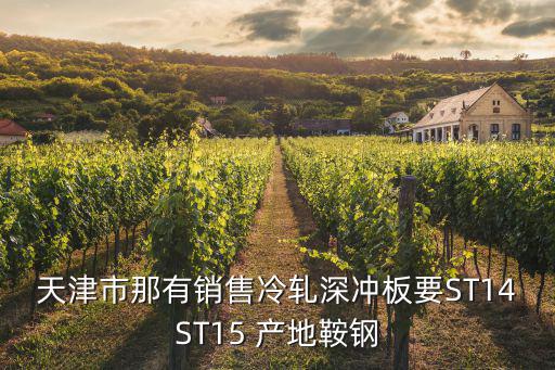 天津市那有銷售冷軋深沖板要ST14ST15 產地鞍鋼