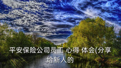 平安保險公司員工 心得 體會(分享給新人的