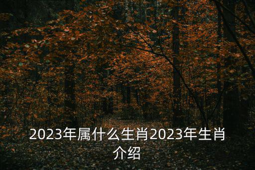 2023屬什么,2023年屬兔,農歷丙戌年生于辛丑