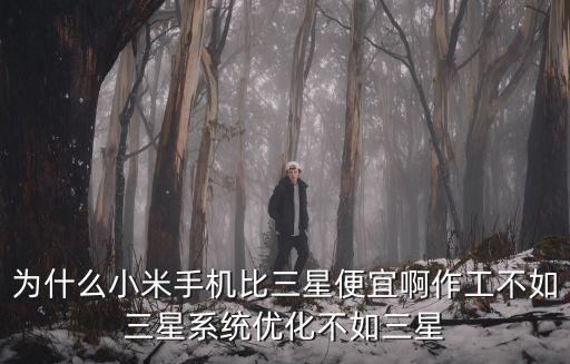 為什么小米手機比三星便宜啊作工不如三星系統(tǒng)優(yōu)化不如三星