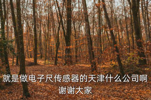 就是做電子尺傳感器的天津什么公司啊謝謝大家
