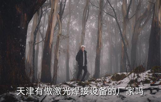天津有做激光焊接設備的廠家嗎