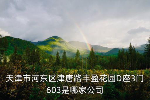 天津市河東區津唐路豐盈花園D座3門603是哪家公司