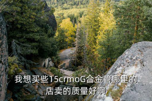 我想買些15crmoG合金管哪里的店賣的質(zhì)量好啊