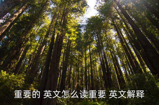 重要英文,重要性與價值意義重大（四））