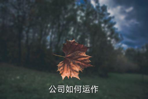 企業運營,企業運營管理在決策中起著至關重要作用