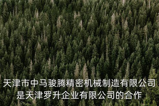 天津市中馬駿騰精密機械制造有限公司是天津羅升企業有限公司的合作