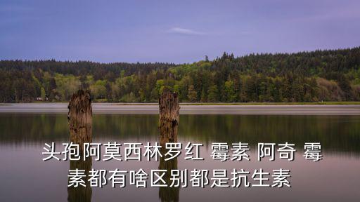  頭孢阿莫西林羅紅 霉素 阿奇 霉素都有啥區別都是抗生素