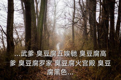 ...武爹 臭豆腐五娭毑 臭豆腐高爹 臭豆腐羅家 臭豆腐火宮殿 臭豆腐黑色...