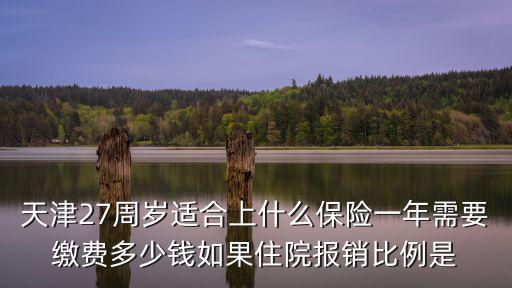 天津27周歲適合上什么保險一年需要繳費多少錢如果住院報銷比例是