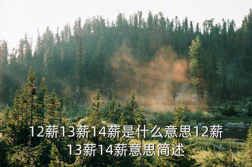 12薪13薪14薪是什么意思12薪13薪14薪意思簡述