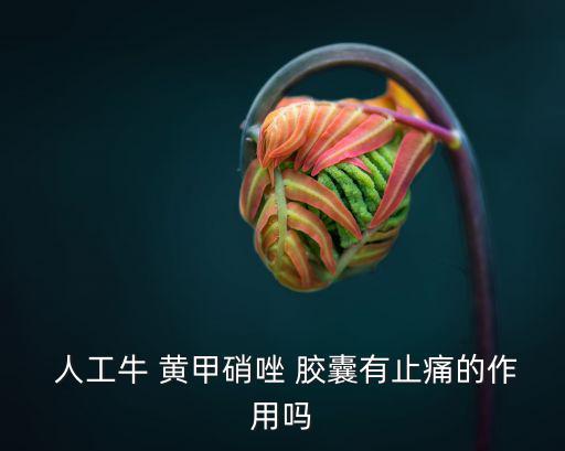 人工黃甲硝膠囊,人工牛黃甲硝唑能鎮(zhèn)痛嗎?醫(yī)生:幾乎不刺激胃