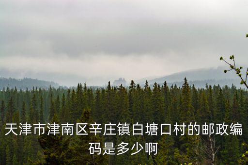 天津市津南區(qū)白塘口村掛牌，天津市有幾個白塘口村