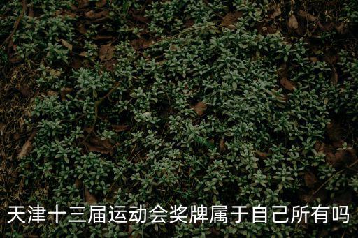第十三屆天津市挑戰杯，天津十三屆運動會獎牌屬于自己所有嗎
