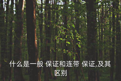 一般保證,當事人合同約定債務人不履行債務保證人承擔責任