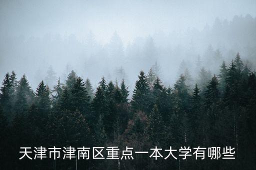 天津市在津南的大學，天津市津南區大學城都有哪些學校