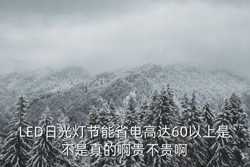 LED日光燈節能省電高達60以上是不是真的啊貴不貴啊
