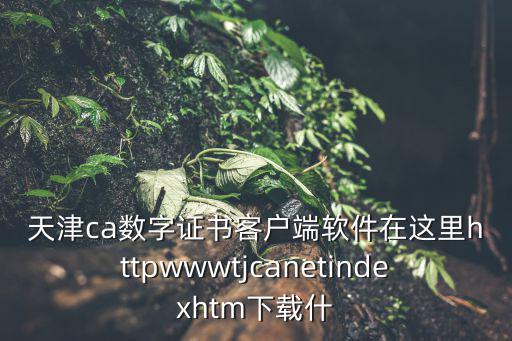 天津ca數字證書客戶端軟件在這里httpwwwtjcanetindexhtm下載什