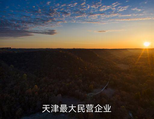 天津市強利津強混凝土有限公司，請問天津百強企業中有哪些在武清區急