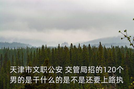 天津市文職公安 交管局招的120個男的是干什么的是不是還要上路執
