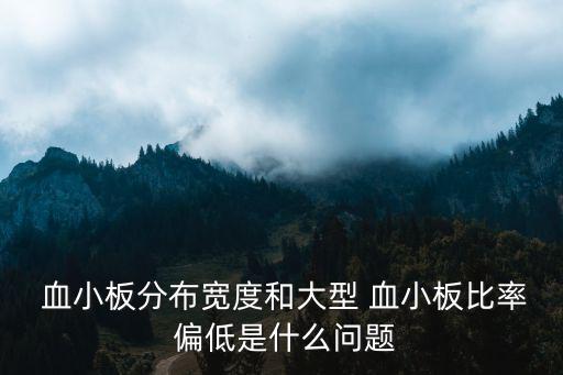 大血小板數(shù)目偏低,血小板過(guò)度破壞可能有出血傾向