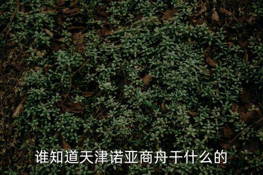 誰知道天津諾亞商舟干什么的