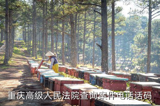 重慶高級人民法院查詢案件電話話碼