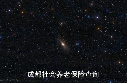 成都市社保代繳 智，成都單位社保個人可以去代繳嗎