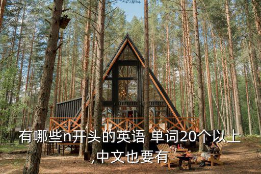 有哪些n開頭的英語 單詞20個以上,中文也要有
