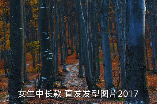 女生中長款 直發發型圖片2017