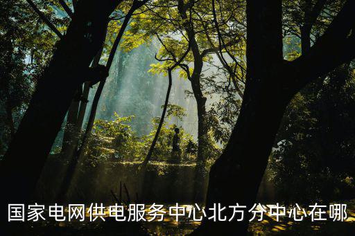 天津市電力公司客服北方基地建設分公司，國家電網供電服務中心北方分中心在哪