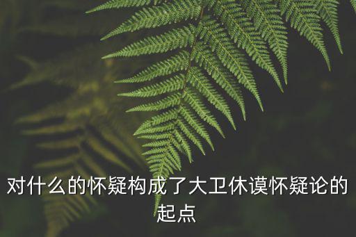 對什么的懷疑構成了大衛休謨懷疑論的起點