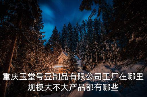 重慶玉堂號豆制品有限公司工廠在哪里規模大不大產品都有哪些
