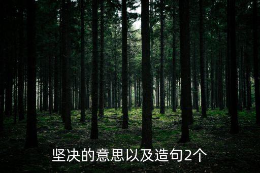 堅決的意思,絕對用作副詞表示堅決意志堅定