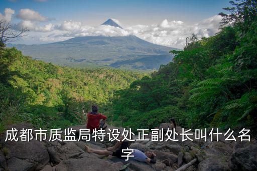 成都市質監局特設處正副處長叫什么名字