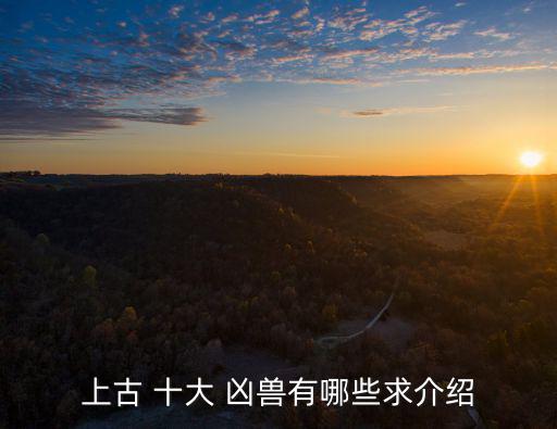 上古 十大 兇獸有哪些求介紹