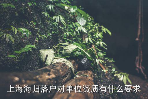 上海海歸落戶對(duì)單位資質(zhì)有什么要求
