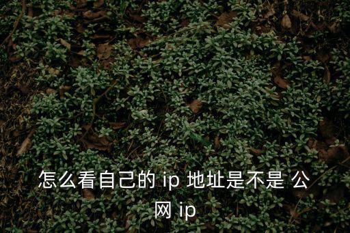 怎么看自己的 ip 地址是不是 公網(wǎng) ip