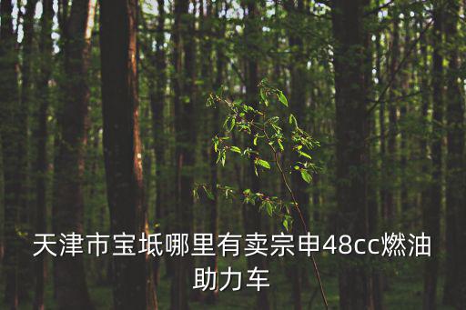 天津市寶坻哪里有賣宗申48cc燃油助力車